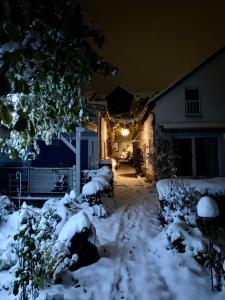 a yard covered in snow at night with lights at Ferienwohnung Elisabeth in Blankenhain +14 photos