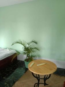 een tafel in een kamer met een bed en een plant bij La plage by lee & hap guest house in Kampot