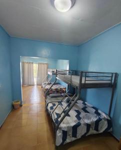 3 Etagenbetten in einem Zimmer mit blauer Wand in der Unterkunft 囍潜Side Effects Dive Resort Dauin in Dauin