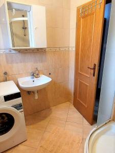 ein kleines Bad mit einem Waschbecken und einer Waschmaschine in der Unterkunft Apartments by the sea Sobra, Mljet - 22327 in Babino Polje