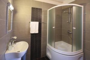 a bathroom with a shower and a sink and a toilet at Apartments by the sea Prozurska Luka, Mljet - 22335 in Maranovići