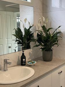 um lavatório de casa de banho com um espelho e um vaso de plantas em St Helen's Cottages em Clare