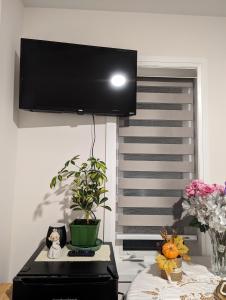 a tv hanging above a table with a plant at Bright Room full of love and warmth in Bowmanville