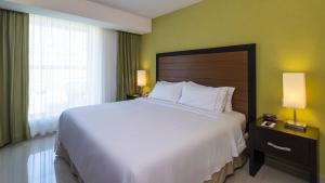 Postel nebo postele na pokoji v ubytování Holiday Inn Express Xalapa by IHG
