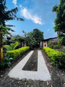 a walkway in the middle of a garden at Casa de Emilia in Santa Ana