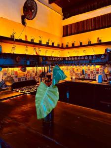 um bar com um item verde no balcão em HOLBOX HOSTAL em Holbox