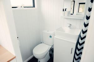 a bathroom with a white toilet and a sink at Odyssean Tiny House in Cessnock