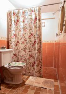 a bathroom with a shower curtain with a toilet at Xochi Calli in Nogales