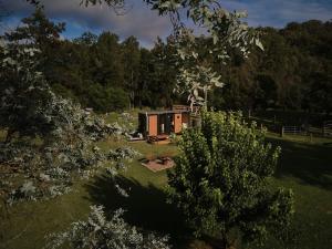 a small house in the middle of a field at The Wollombi Wanderer in Wollombi