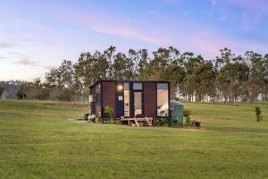 a tiny house in a grassy field at Valley Escape in Rothbury