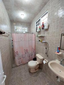 W łazience znajduje się różowa zasłona prysznicową i toaleta. w obiekcie La casa del descanso w mieście Catemaco