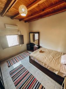 um quarto com uma cama e uma televisão em The Cage em Dahab