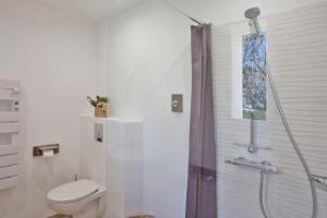 La salle de bains est pourvue d'une douche et de toilettes. dans l'établissement Villa Albizzia with terrace and garden 68 people, à Calvi