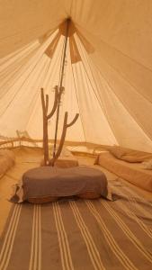Zimmer mit einem Zelt mit Kaktus in der Unterkunft ESPACIO AMAITÀ in Villa Carlos Paz