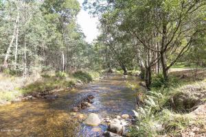 a stream of water with rocks in a forest at Basecamp Sawmill in Mount Buller