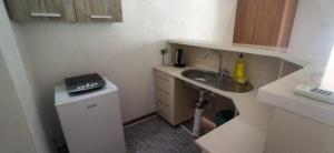 uma pequena cozinha com um lavatório e uma máquina de lavar louça em Vila Bronhi em Sutomore