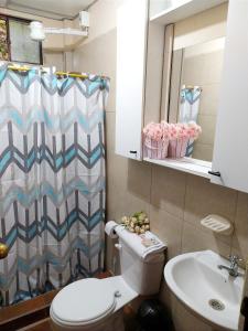 プヨにあるCasita Lindaのバスルーム(トイレ、洗面台、シャワーカーテン付)