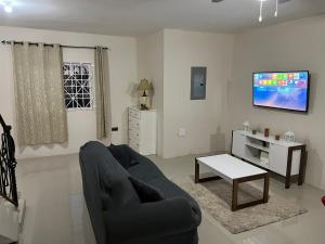 a living room with a couch and a tv at Mandeville luxury in Mandeville