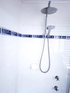 a shower with a shower head in a bathroom at Central Studio Accommodation in Gladstone