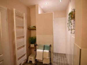 a bathroom with a shower with a towel rack at WERTS HOF Apartment 2 