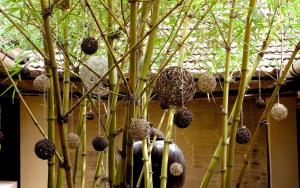 a bunch of plants with balls on them at Clayfingers Art Cottage in Trichūr