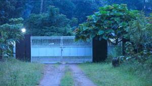 a fence with a tree and a dirt road at Clayfingers Art Cottage in Trichūr