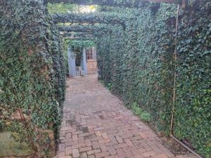 an ivy covered tunnel with a brick walkway at Cottage by the Woods in Pretoria