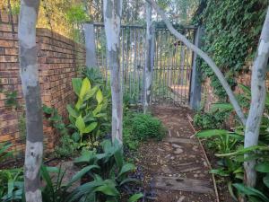 a garden with a iron gate and a brick wall at Cottage by the Woods in Pretoria