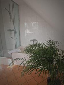ein Badezimmer mit einer Dusche und einer Pflanze darin in der Unterkunft Villa Ludwigsburg in Kühlungsborn