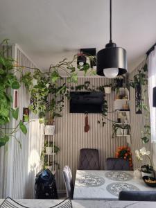 a dining room with plants on the wall at Nad jeziorem u Beaty in Jezierzany