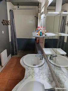 ein Bad mit einem Waschbecken und einem Spiegel in der Unterkunft ex domaine Chandelier in Anglade