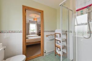 a bathroom with a shower and a mirror at Ash House Bed and Breakfast in Calverstown