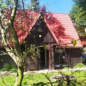 a house with a red roof and a tree at Cottage in the picturesque Beskid Maly Mountains in Porąbka