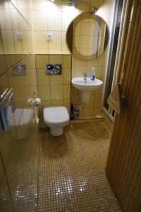a small bathroom with a toilet and a sink at Immaculate 2-Bed Apartment in Zywiec in Żywiec