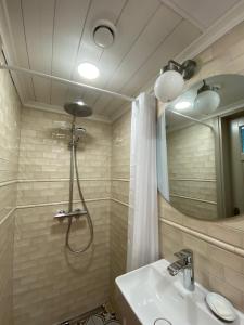 bagno con doccia, lavandino e specchio di Paadikuur Spitham a Põõsaspea