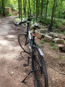 Una bicicleta estacionada en un sendero en el bosque en Ferienwohnung Geilert, en Leisnig