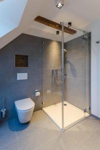 a bathroom with a shower and a toilet at Ferienwohnung Geilert in Leisnig