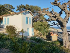 ein Haus am Strand mit einem Baum in der Unterkunft Maison 4 face a la mer grand Jardin Ideal Famille avec pluri Animaux Saint Clair Le Lavandou in Le Lavandou