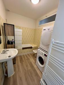 ein Badezimmer mit einem Waschbecken und einer Waschmaschine in der Unterkunft Chez Olivia in Melle