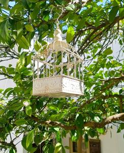 una jaula de pájaro colgando de un árbol en Apartments Donda, en Split
