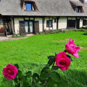 a group of pink roses in front of a house at Les 2 chaumières avec piscine in Épinay