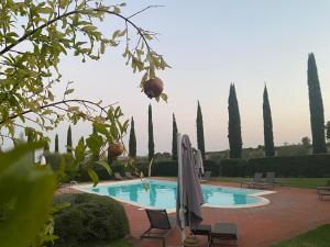 a pool with chairs and umbrellas and trees at Ghiaccio Bosco in Capalbio