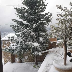 Nymfes Guesthouse v zime