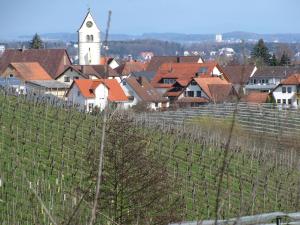 Galeriebild der Unterkunft Obst- Ferienhof Ragg in Immenstaad am Bodensee