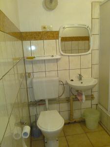 La petite salle de bains est pourvue de toilettes et d'un lavabo. dans l'établissement Maxim Pokoje Gościnne, à Iwonicz-Zdrój