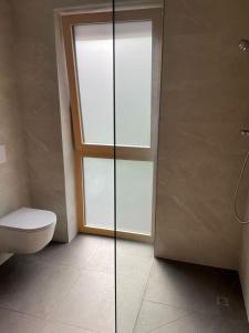 a bathroom with a toilet and a glass shower door at Appartements Luxner in Achenkirch