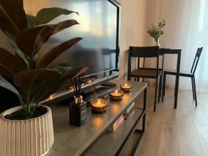 uma sala de estar com uma televisão e um vaso de plantas em Cozy Two Room Apartment near city centre em Alytus