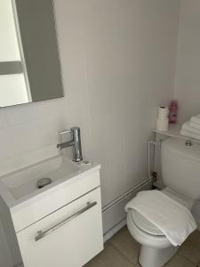 a bathroom with a white toilet and a sink at AUBERGE DE LA ROQUE in La Roquette