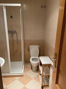 W łazience znajduje się prysznic, toaleta i umywalka. w obiekcie La Estrella del Duero w mieście Zamora