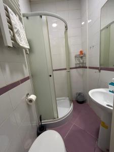 a bathroom with a shower and a toilet and a sink at Belgrade Epicenter in Belgrade